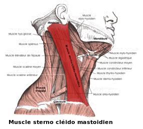 Lessoufflement à osteokhondroze le traitement le massage