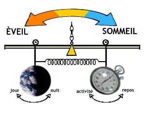 Double-Balancier du sommeil
