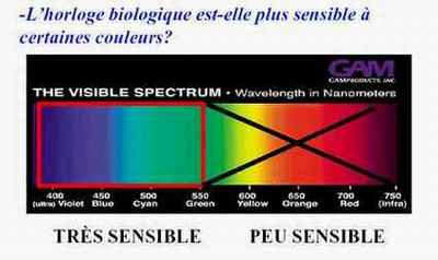 JPEG - 11.7 ko