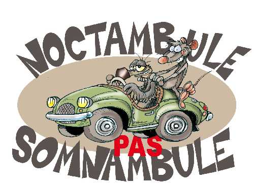 Noctambule, pas somnambule