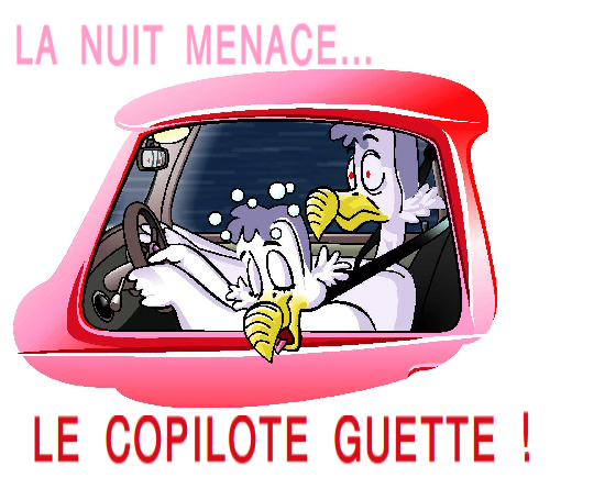 Le copilote guette